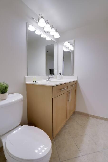 Bright And Cozy Apartment Near Pentagon City Арлингтон Экстерьер фото