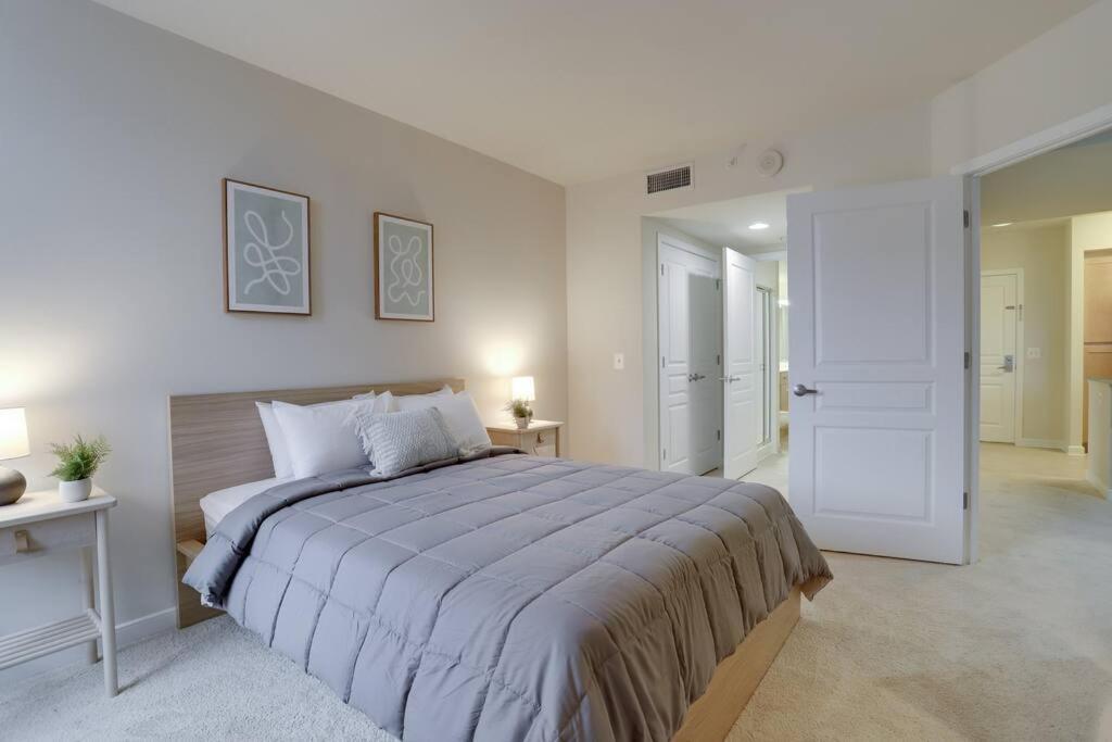 Bright And Cozy Apartment Near Pentagon City Арлингтон Экстерьер фото